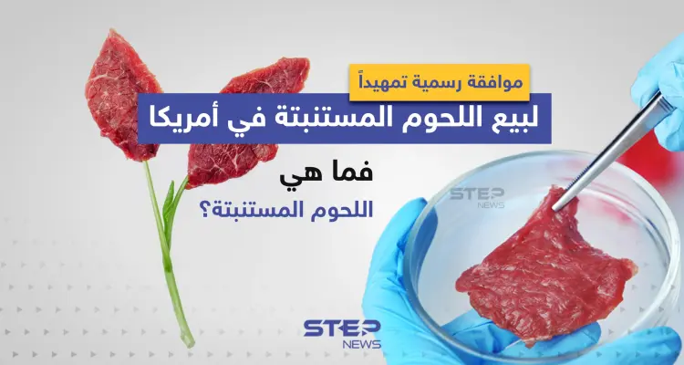 موافقة رسمية تمهيداً لبيع اللحوم المستنبتة في أمريكا ... فما هي اللحوم المستنبتة؟: أخبار