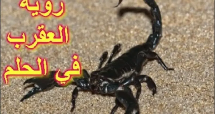تفسير حلم العقرب في المنام يحمل لك رسالة مهمة ... تعرف عليها: أخبار