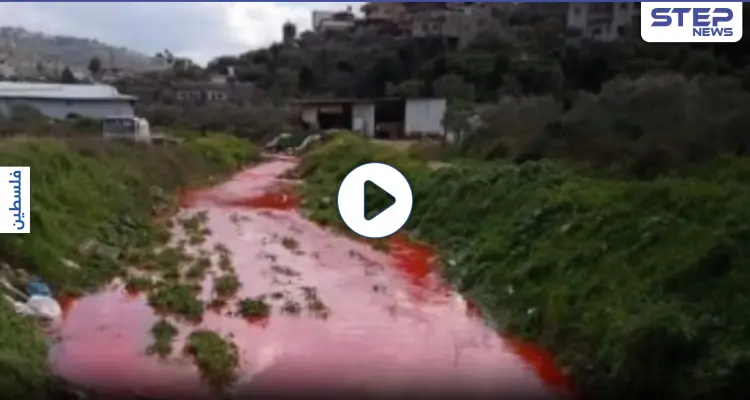 بالفيديو|| المياه تتحول للون الأحمر شمال رام الله وتثير مخاوف أهالي قراوة بني زيد: أخبار