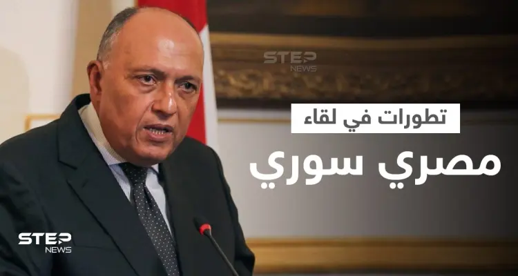 بالفيديو || "تطورات في سوريا" تدفع وزير الخارجية المصري للقاء نظيره المقداد في نيويورك: أخبار