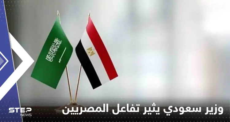 شاهد|| وزير سعودي يثير تفاعلاً بحديثه عن الجيش المصري وضباطه: أخبار