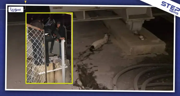 "قط" يتسبب بقطع الكهرباء عن مدينة جبلة وريفها، وورشات الكهرباء تستنفر: أخبار