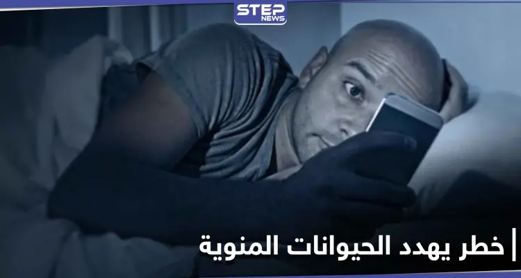 الحيوانات المنوية في خطر.. دراسة تكشف أثر استخدام الهواتف ليلاً: أخبار