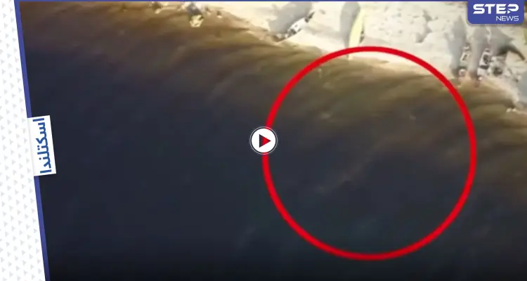 بالفيديو || للمرة الثانية.. وحش أسطوري يظهر في بحيرة لوخ نيس في اسكتلندا: أخبار