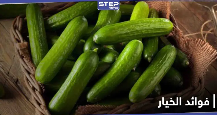 فوائد الخيار لجسم الإنسان.. وماذا يسبب تناوله لمرضى السكري: أخبار
