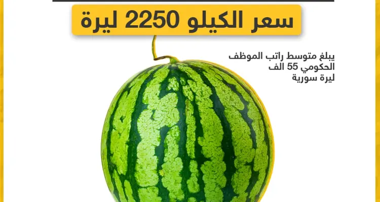 سعر البطيخة في دمشق.. ما سعرها في مدينتكم؟: أخبار