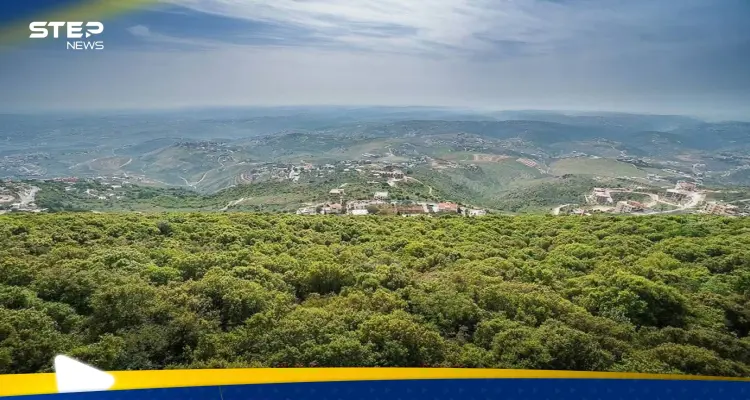 إسرائيل ترصد صاروخاً من لبنان.. وترد على مصدر إطلاقه: أخبار