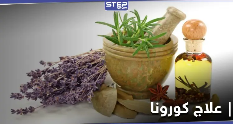 هل هو الشيح.. منظمة الصحة العالمية تقرّ علاج كورونا بالأعشاب الأفريقية: أخبار