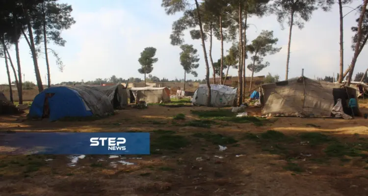 عدسة ستيب الإخبارية" ترصد أوضاع مخيم الرشيد العشوائي غربي الرقة: أخبار