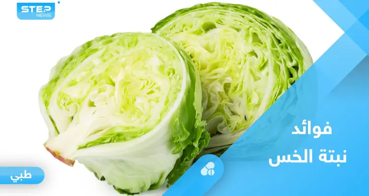 الخس.. غذاء مثالي لخسارة الوزن وصحة القلب: أخبار