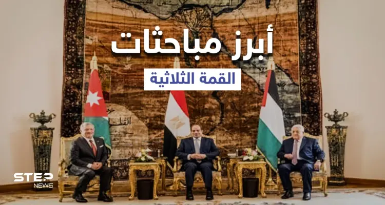 تفاهمات "هامة" ما قبل القمة... أبرز ما ناقشه الرئيس المصري مع الملك الأردني حول فلسطين: أخبار