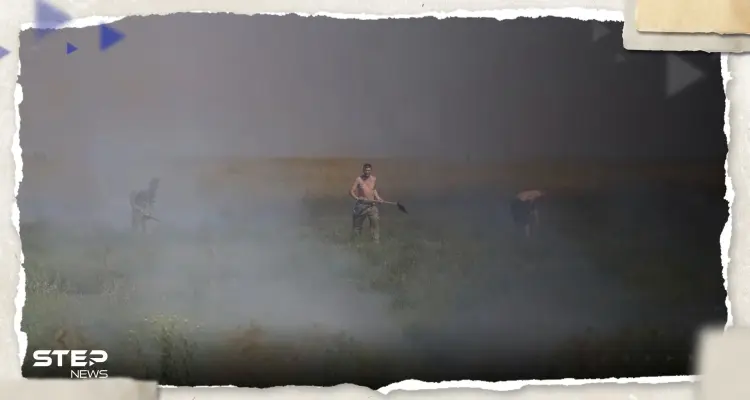 زيلينسكي يعلن تقدّم القوات الأوكرانية في هجومها المضاد على الروس: أخبار