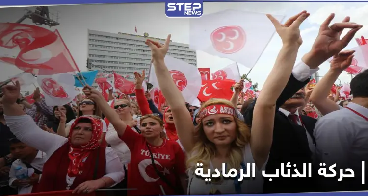 عدد منتسبيها بالآلاف.. مطالبات ألمانية لحظر حركة الذئاب الرمادية التركية: أخبار