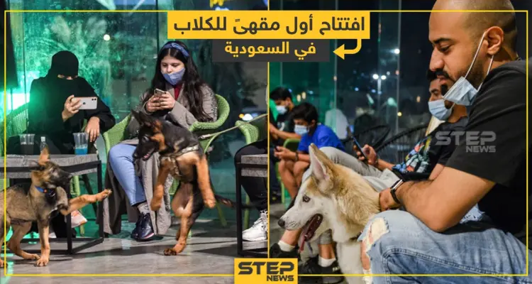 افتتاح أول مقهى للكلاب في السعودية: أخبار