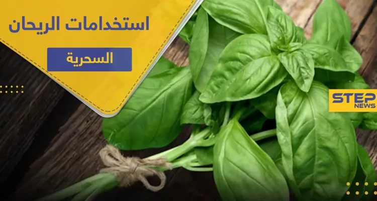 5 استخدامات سحرية لـ الريحان لتحافظ على صحتك: أخبار