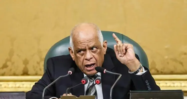 البرلمان المصري يدخل على خط مواجهة "المواقع الإباحية" ويقول كلمته الفصل: أخبار