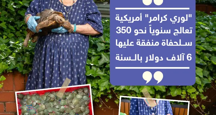 سبعينية تعالج السلاحف بمنزلها: أخبار