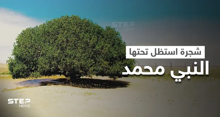 الشجرة التي استراح تحتها النبي محمد خلال رحلته إلى سوريا تُزرع بمدينة روسية: أخبار