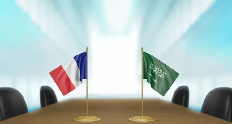 خلال اتصالٍ هاتفي.. ولي العهد السعودي والرئيس الفرنسي تباحثا هذه الملفات: أخبار