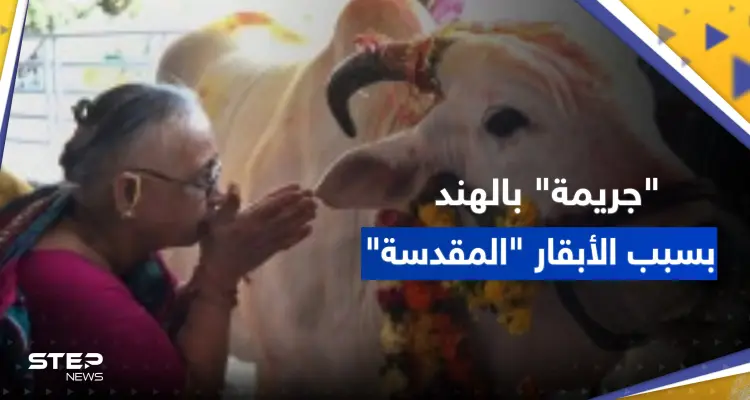 جريمة بحق مسلمين بالهند بسبب "الأبقار المقدسة": أخبار