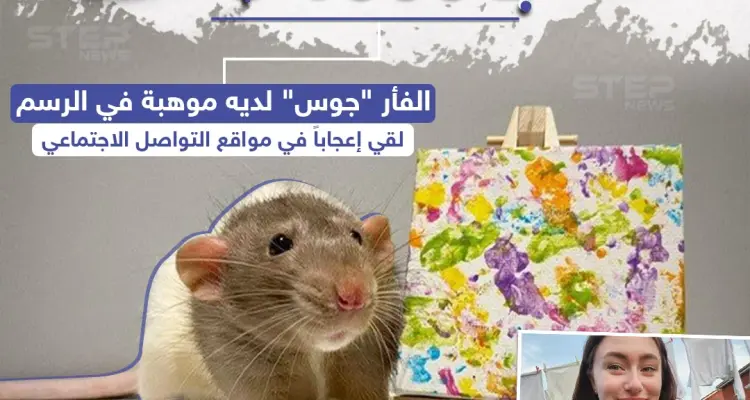 لوحة فنية بريشة فأر تباع بأكثر من 1000 دولار: أخبار