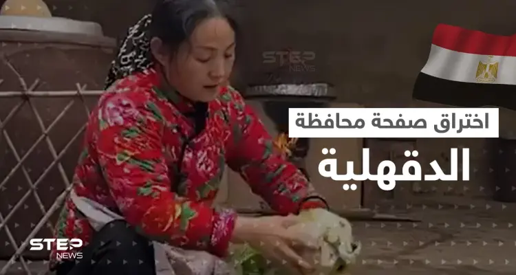 اختراق الصفحة الرسمية لـ محافظة الدقهلية.. ونشر فيديو غريب بداخلها يثير سخرية المصريين: أخبار