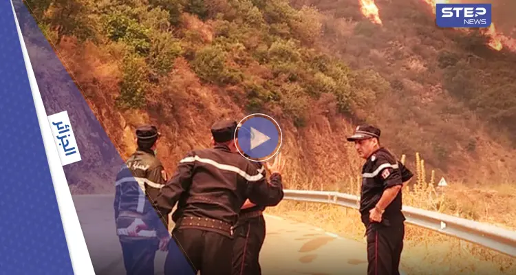بالفيديو|| حرائق الجزائر تطال المنازل وتلتهم حافلة بمن فيها: أخبار
