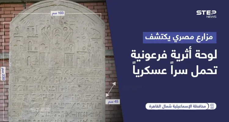 مزارع مصري يكتشف لوحة أثرية فرعونية تحمل سراً عسكرياً: أخبار