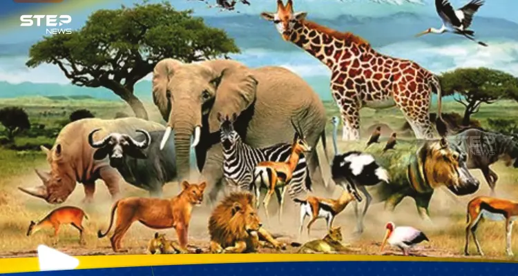 ما هو الحيوان الذي يصوم رمضان مثل البشر؟.. حقيقة أم خرافة: أخبار