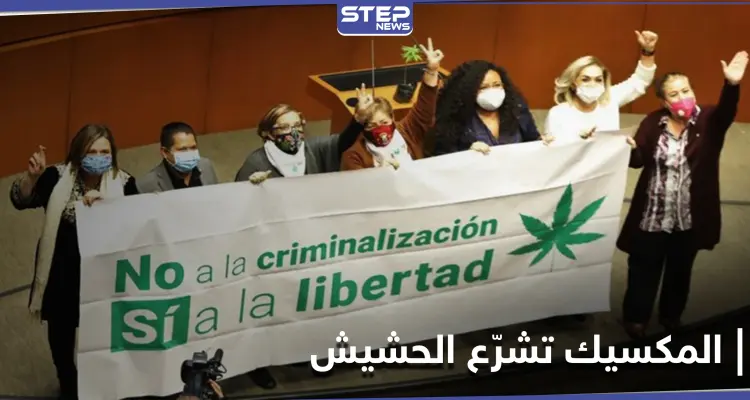 مجلس الشيوخ المكسيكي يسمح بتعاطي وتجارة الماريجوانا في البلاد: أخبار