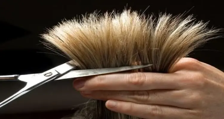 ما الرسالة وراء قص الشعر في المنام لابن سيرين والإمام الصادق وابن شاهين: أخبار