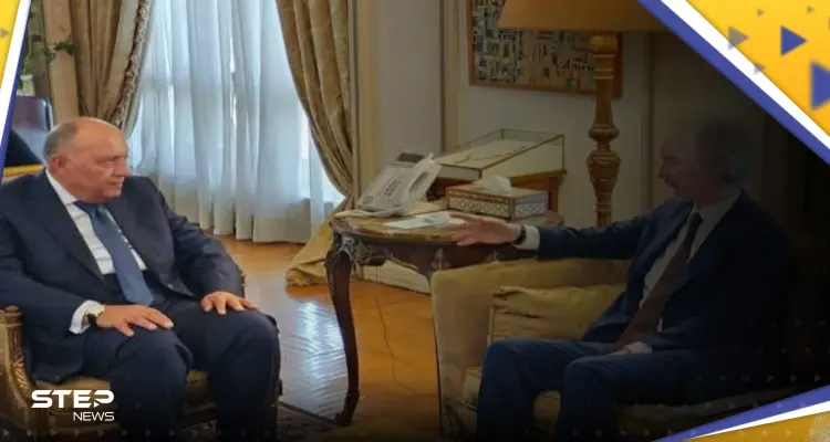 وزير الخارجية المصري يلتقي غير بيدرسون في القاهرة لدفع الحل السياسي بسوريا: أخبار