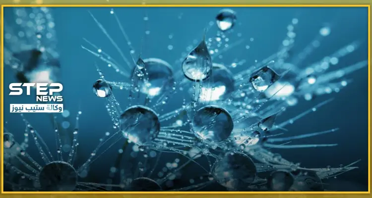 هل ينتقل فيروس كورونا عبر المياه.. وهل يشمل مياه الصرف الصحي وبراز المرضى؟: أخبار