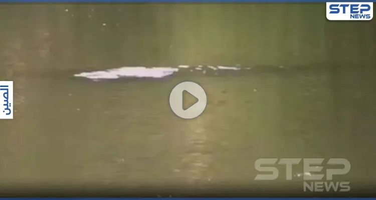 بالفيديو|| ظهور وحش أسطوري غامض في إحدى بحيرات الصين بطول 10 أقدام: أخبار