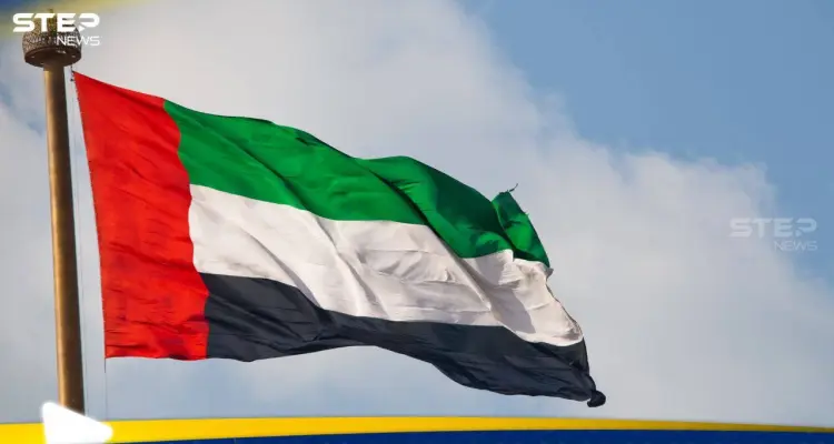 الإمارات توضح موقفها من اليمن: لا توجيه لأي عمليات ضد السعودية وإنهاء فرق مكافحة الإرهاب
