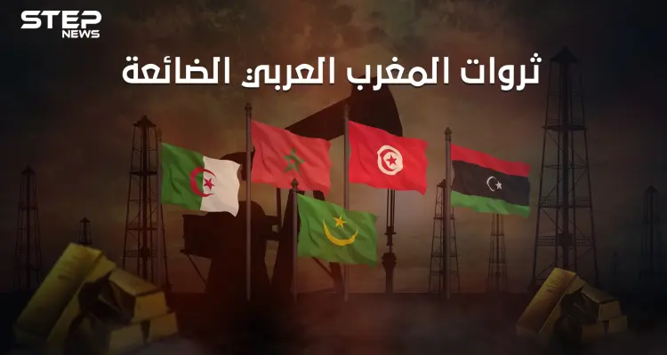 نهضة كُبرى يمكنها انتشاله من الفقر والبطالة.. المغرب العربي وثرواته الضائعة: أخبار