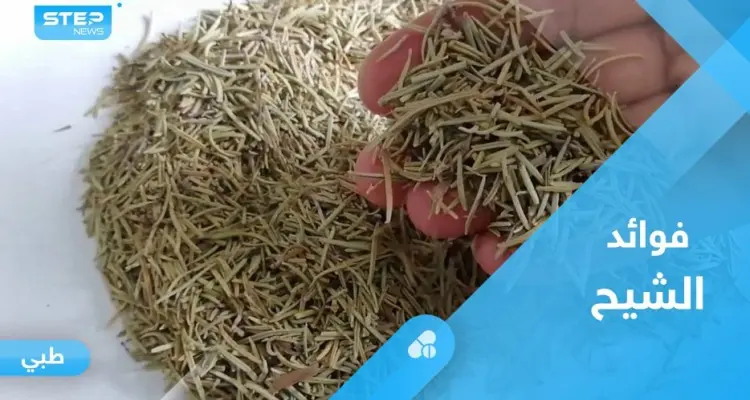 فوائد الشيح.. ماذا يحدث لأجسامنا عند شربه على الريق؟: أخبار