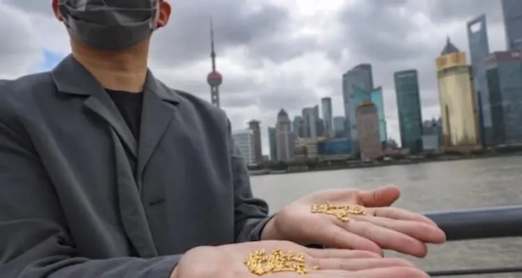 بالفيديو|| مطر الأرز من ذهب يثير موجةً من الذهول في شنغهاي.. فما علاقة الفن و"هدر الطعام"؟: أخبار