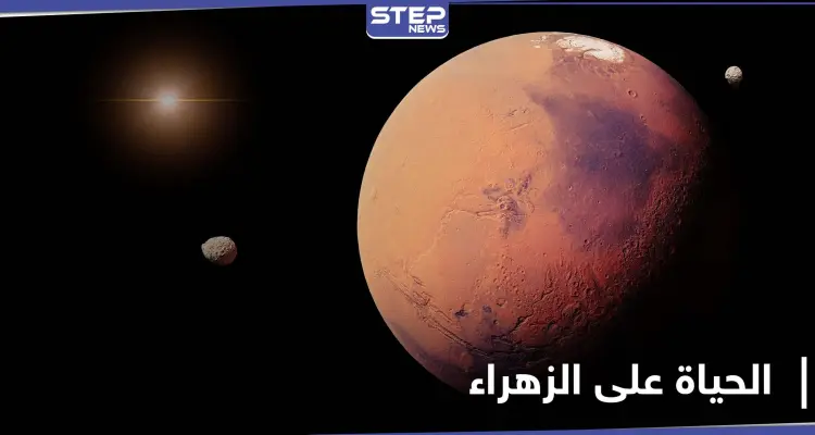 مؤشرات توحي بوجود الحياة على كوكب الزهراء: أخبار