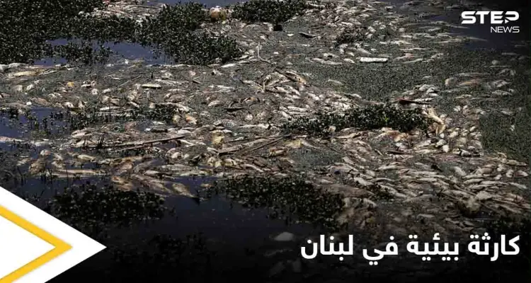 كارثة تهدد حياة اللبنانيين.. آلاف الأسماك النافقة تحمل فيروساً خطيراً تتكدس قرب الليطاني وتحذيرات من الجهات المعنية: أخبار