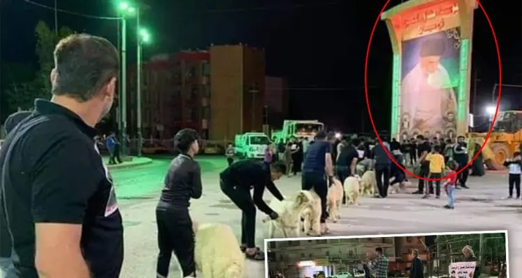أنصار مقتدى الصدر يتصدون لفايروس كورونا بنحر الخراف: أخبار