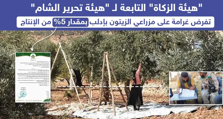 غرامة فرضتها "هيئة تحرير الشام" على مزارعي مدينة إدلب: أخبار