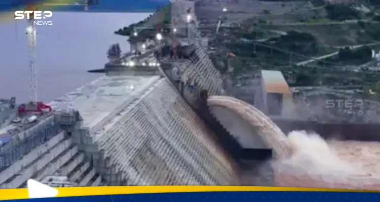 وزير مصري يحذر إثيوبيا بشأن سد النهضة: نراقب الوضع ولن نسمح بهذا الأمر: أخبار