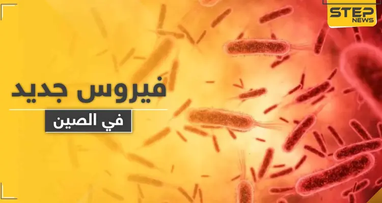 لا علاج له منذ أعوام.. فيروس جديد في الصين شديد العدوى يتسبب بمقتل 7 أشخاص: أخبار