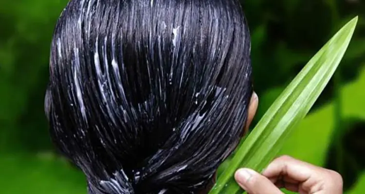 للعناية بــ الشعر الخفيف.. إليك 3 طرق طبيعية تعطيك نتائج مذهلة: أخبار