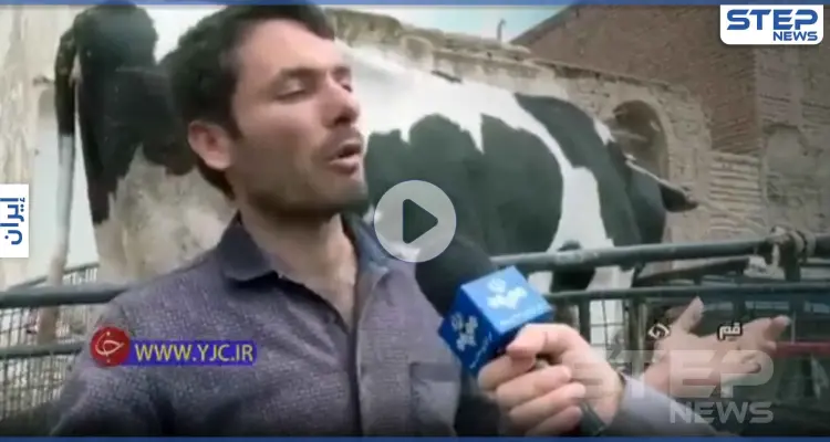 بالفيديو|| إيراني يحضر بقرته إلى البنك لسداد ديونه بسبب "كورونا": أخبار