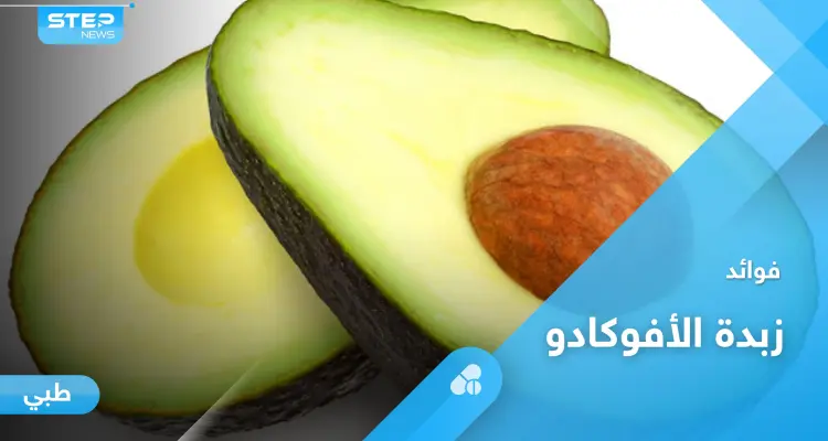 فوائد زبدة الأفوكادو وطريقة تحضيرها بخطوات سهلة: أخبار