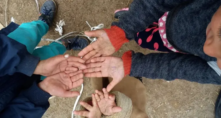 أطفال في دمشق بلا تعليم .. كيف يراهم النظام والمجتمع ؟!: أخبار