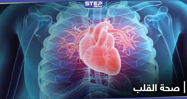 إجراء روتيني بسيط..أثبتت الدراسات الحديثة بأنه لاحدود لفوائده على صحة القلب: أخبار