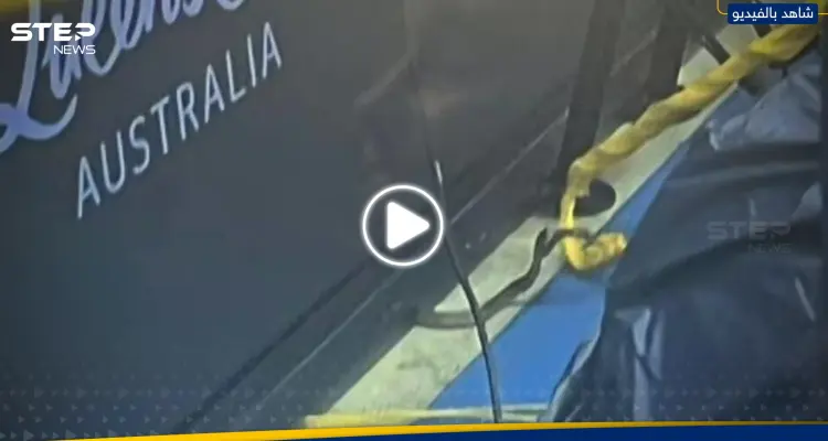 شاهد|| ثعبان سام يوقف مباراة تنس 40 دقيقة في أستراليا: أخبار